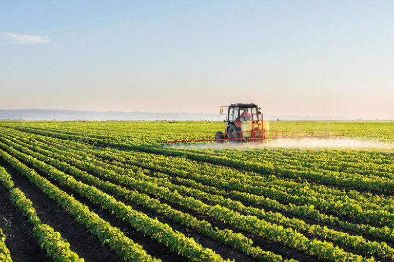 Loi Duplomb : la pétition citoyenne dépasse les 500 000 signatures